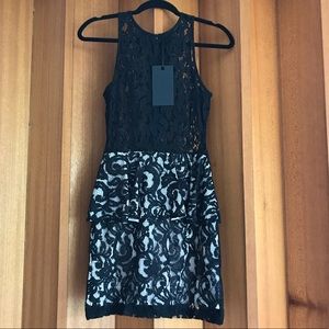 Style Stalker Lace Sheer Peplum Dress